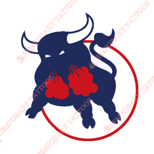 Birmingham Bulls Customize Temporary Tattoos Stickers NO.7104